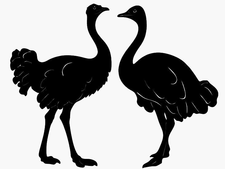 2 Emus