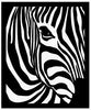 Zebra 2